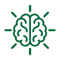 Apoyo específico para el cerebro y la función cognitiva