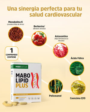 Protect your cholesterol levels - MaboLipid Plus
