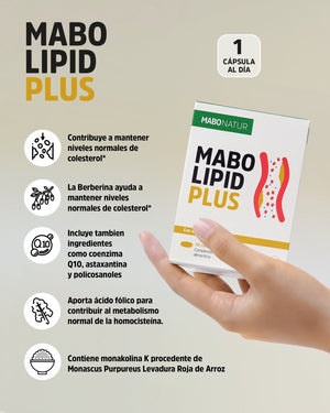 Protect your cholesterol levels - MaboLipid Plus